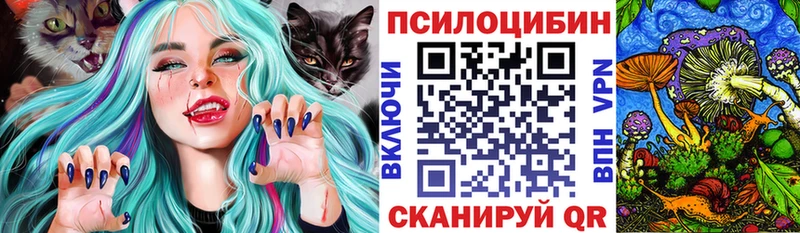 mega сайт  Заволжск  Галлюциногенные грибы Psilocybine cubensis  магазин   
